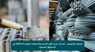 أسعار الخميس.. تحديث جديد لطن الحديد والأسمنت اليوم 11-9-2025 في الأسواق المحلية